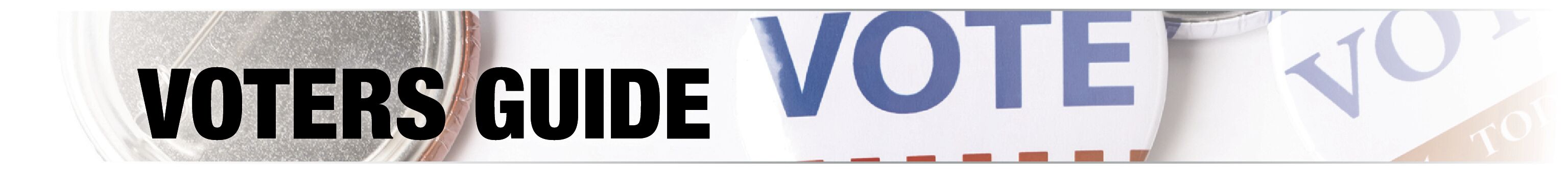VotersGuideBannerCMYK.jpg